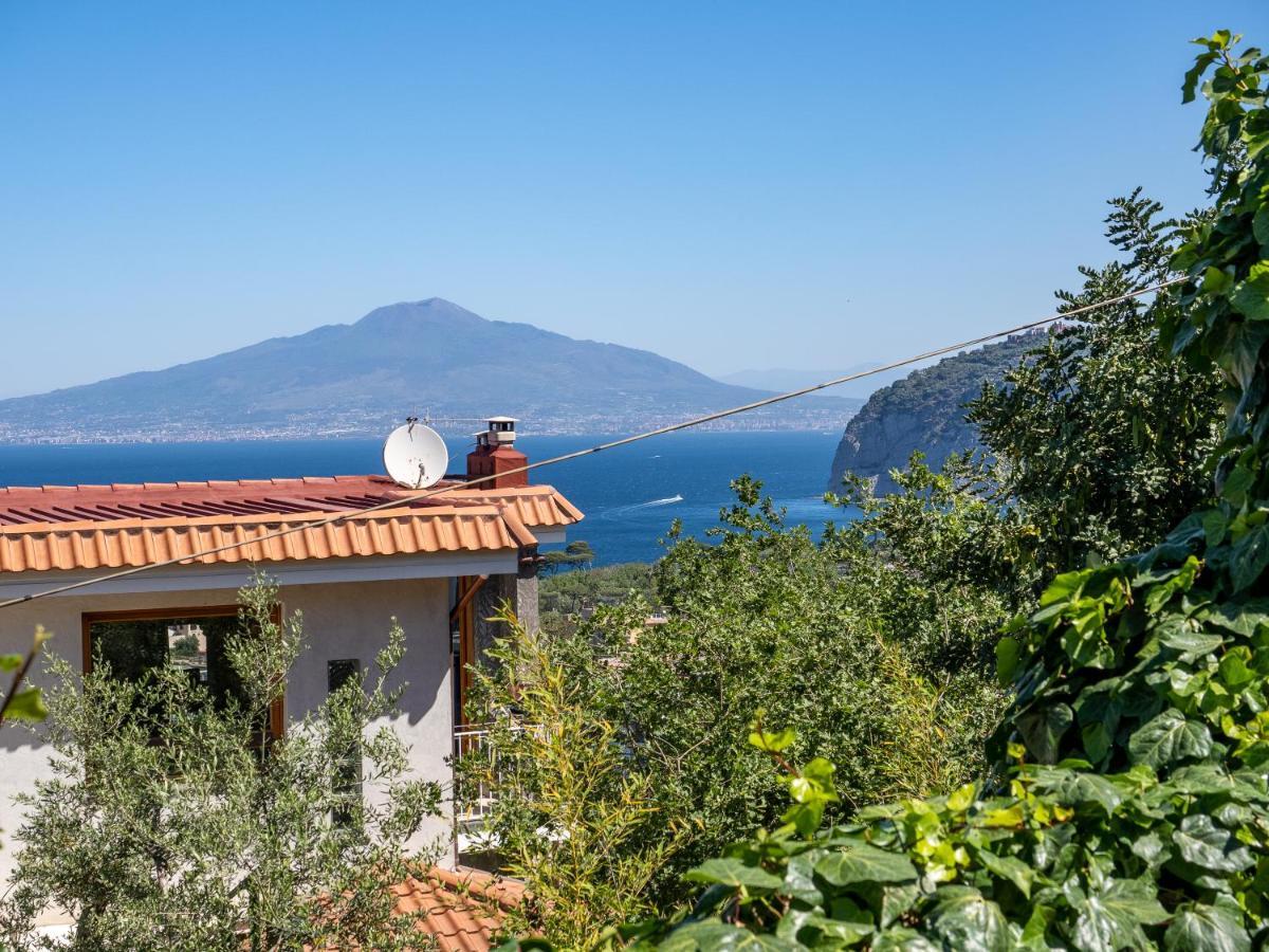 Ulivi Apt Villa Sorrento Exterior photo