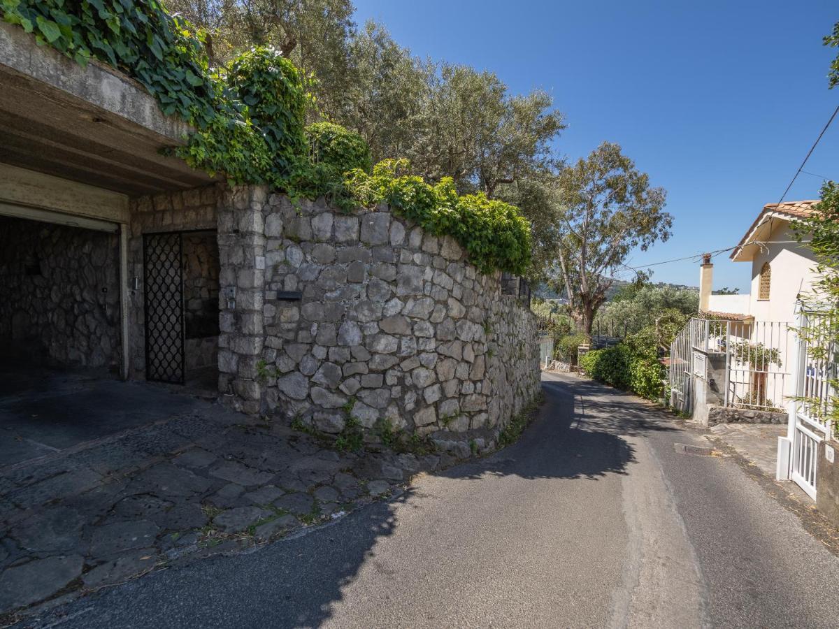 Ulivi Apt Villa Sorrento Exterior photo