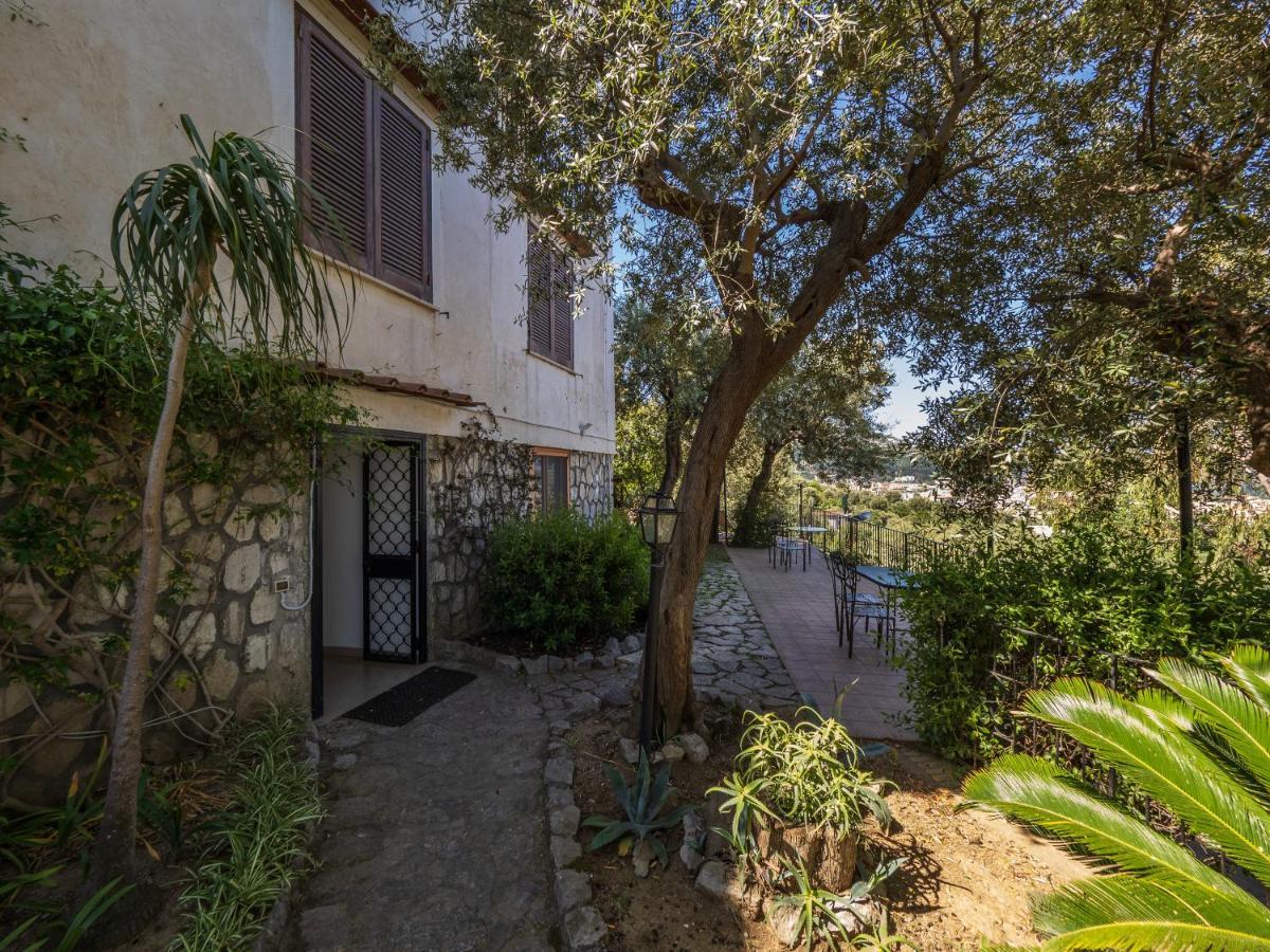 Ulivi Apt Villa Sorrento Exterior photo