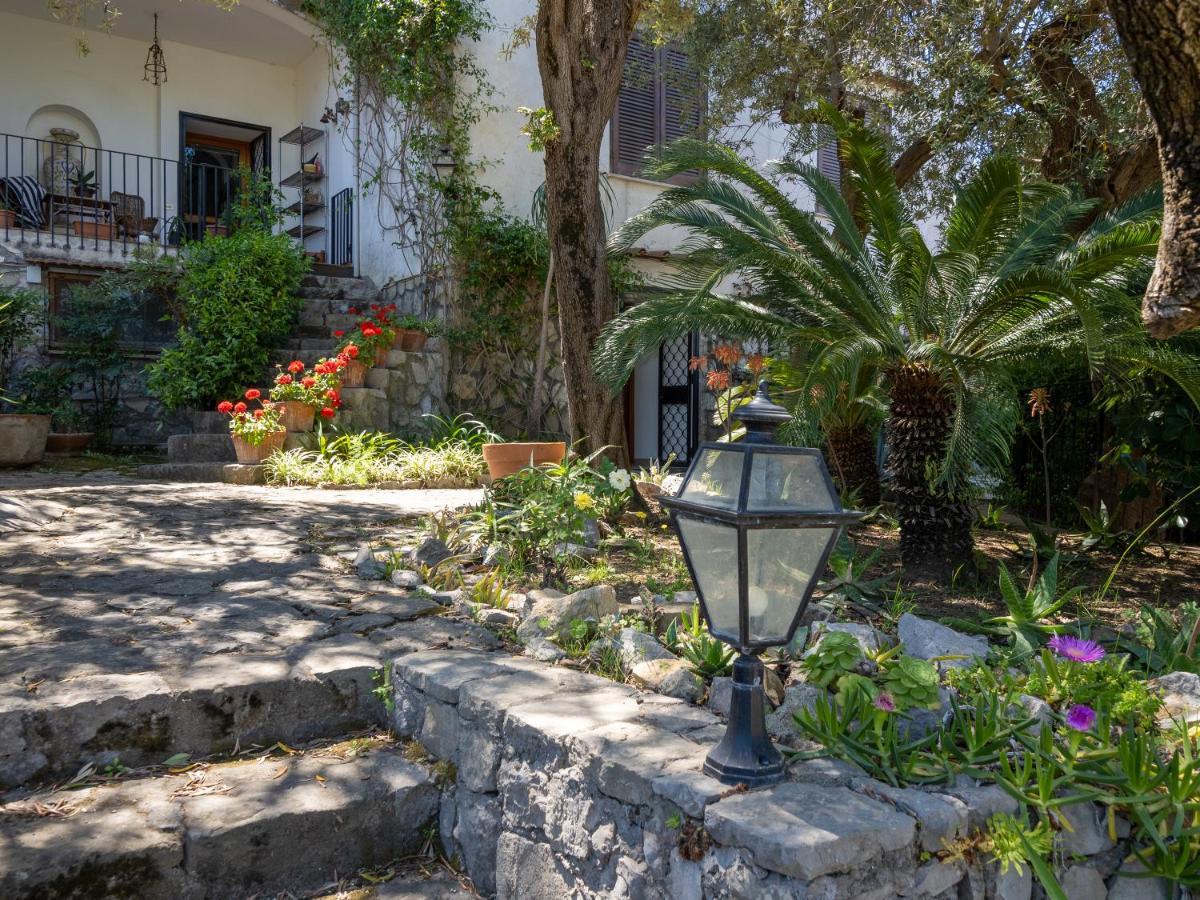 Ulivi Apt Villa Sorrento Exterior photo